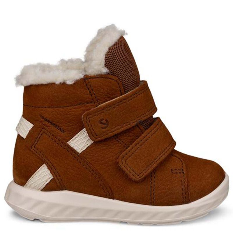 Ecco SP.1 Lite Warm vintersko til baby, Camel