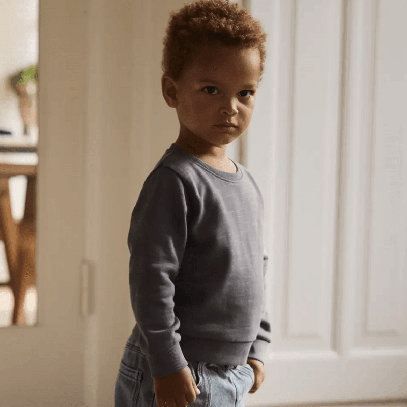 Lil' Atelier Nmmkavens sweatshirt til småbarn, Poppy Seed